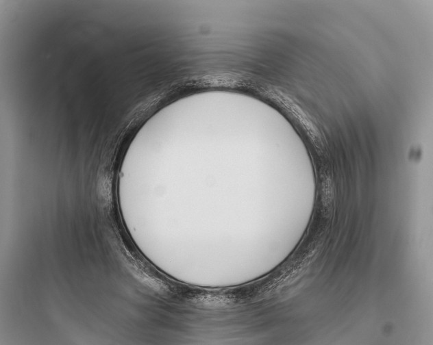 X0000097590537200803211639