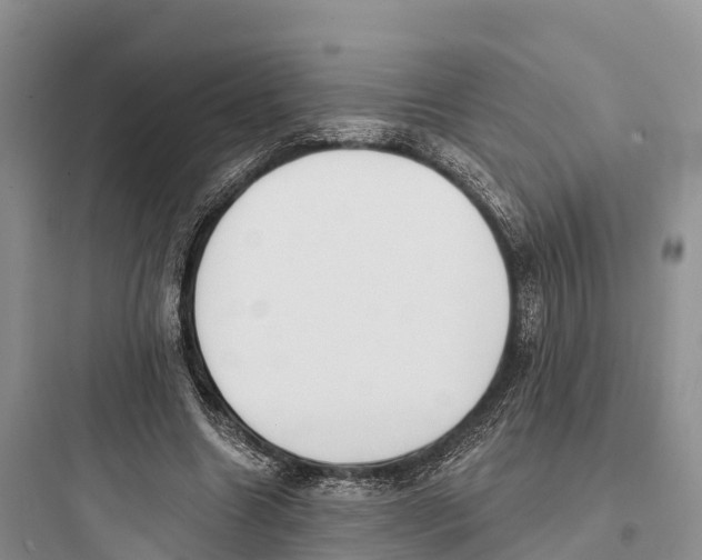 X0000097590538200803211639