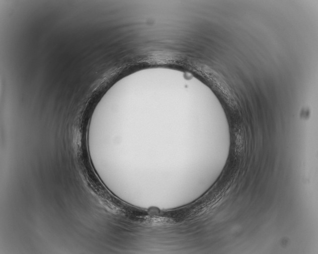 X0000097590539200803211639