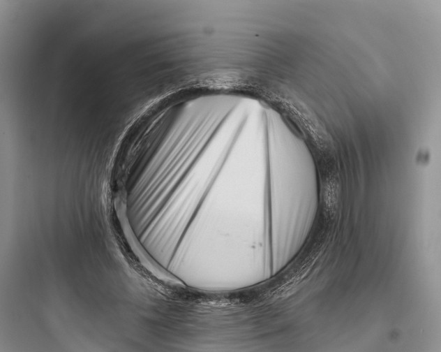 X0000097590540200803211639