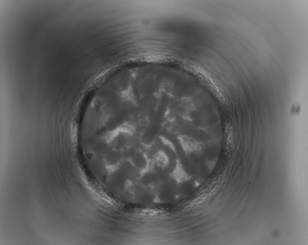 X0000097590542200803211639