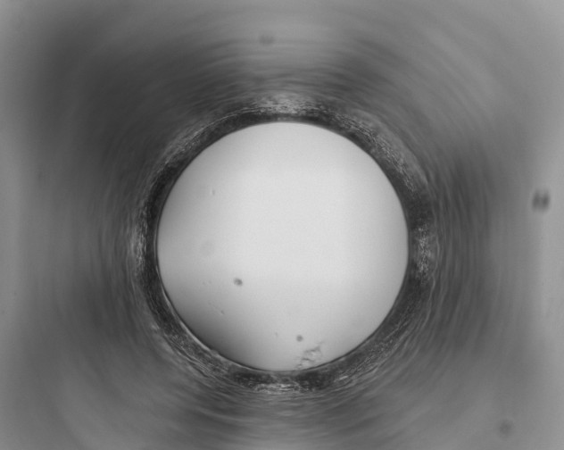 X0000097590544200803211639