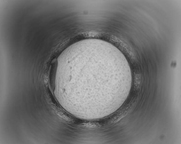 X0000097590545200803211639