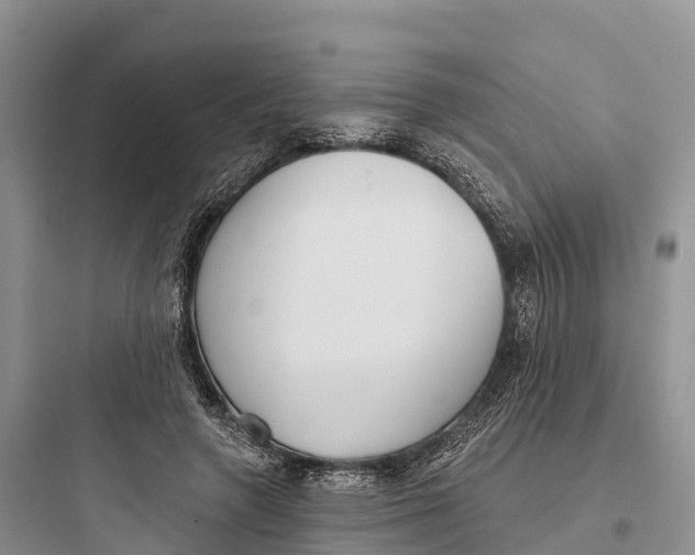 X0000097590546200803211639