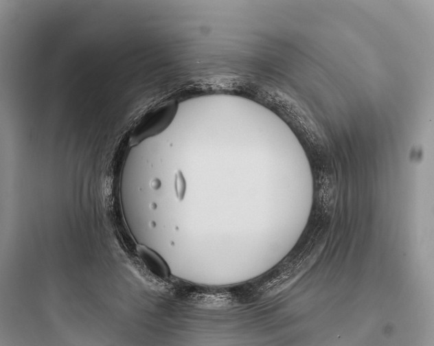 X0000097590548200803211639