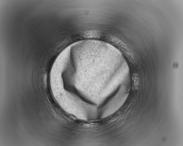 X0000097590550200803211639