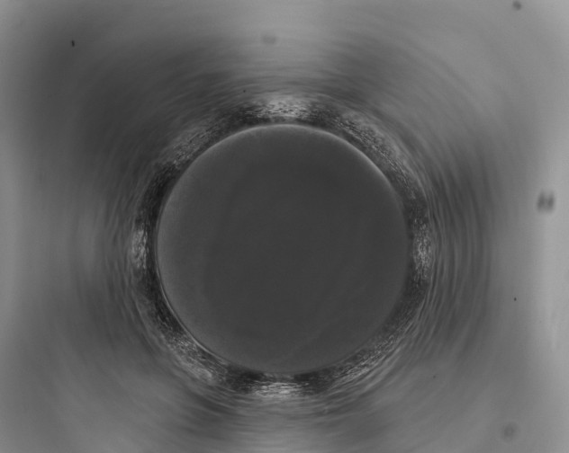 X0000097590551200803211639