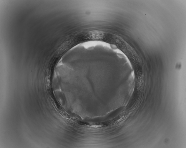 X0000097590553200803211639