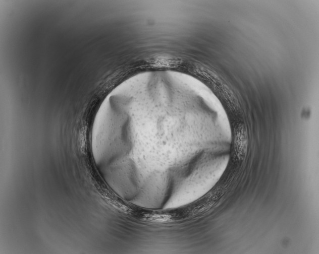 X0000097590554200803211639