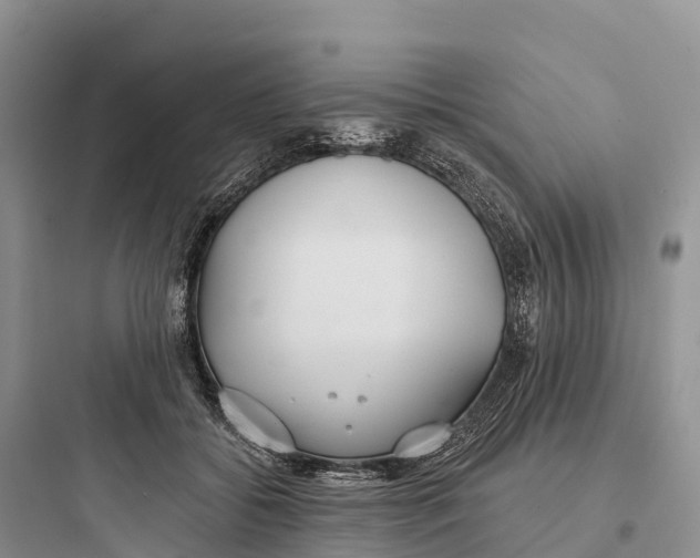 X0000097590556200803211639