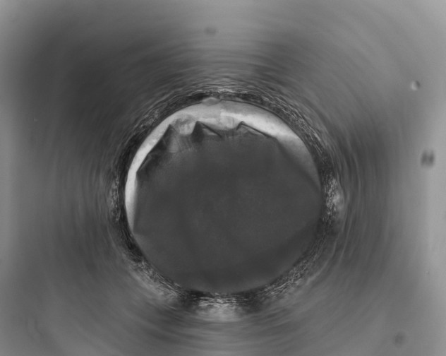 X0000097590559200803211639