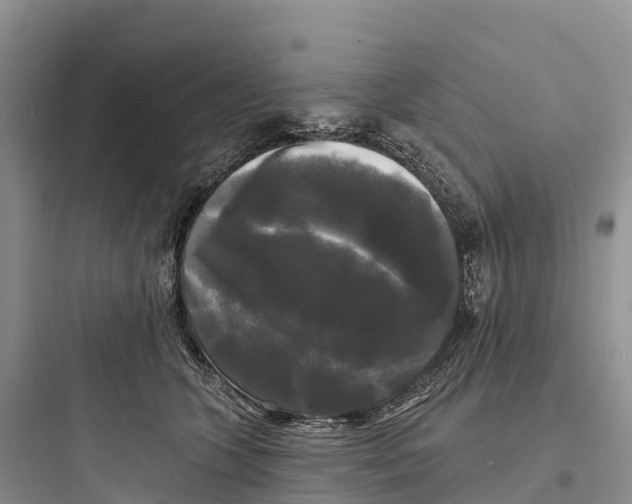 X0000097590563200803211639