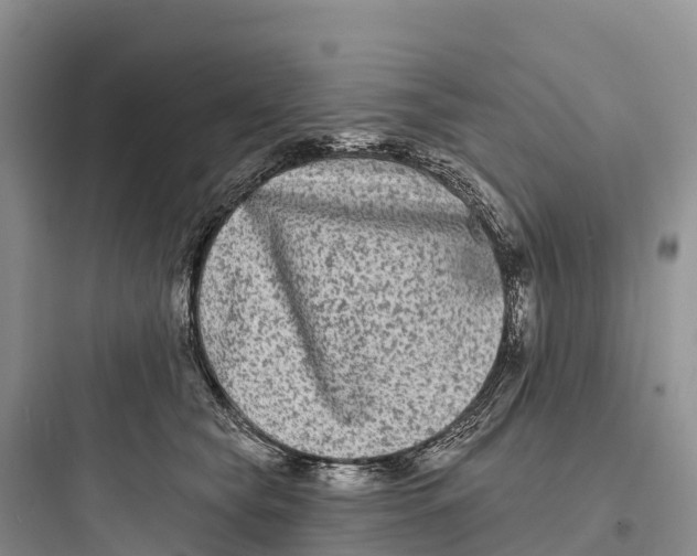 X0000097590565200803211639