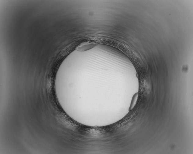 X0000097590566200803211639