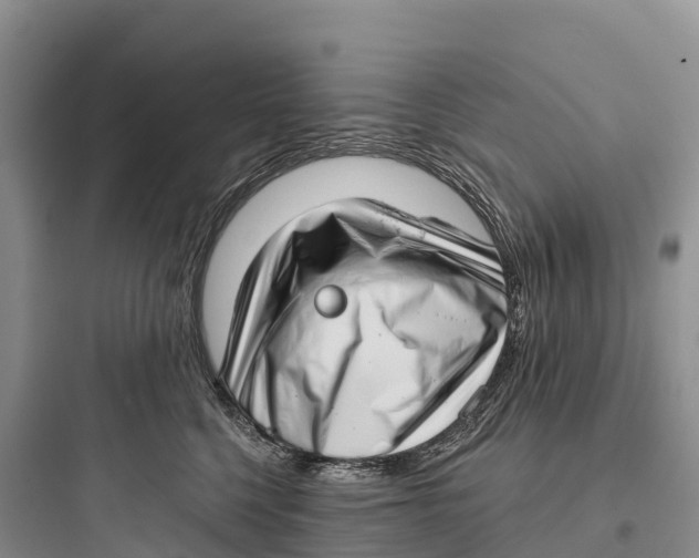 X0000097590568200803211639