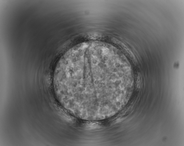 X0000097590569200803211639