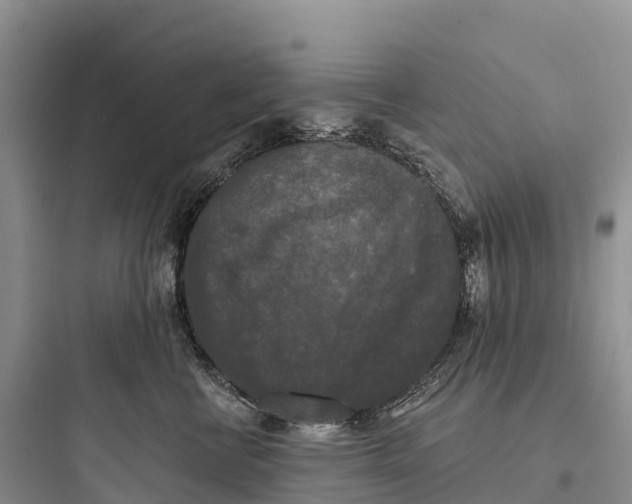 X0000097590570200803211639