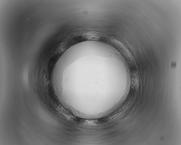 X0000097590573200803211639