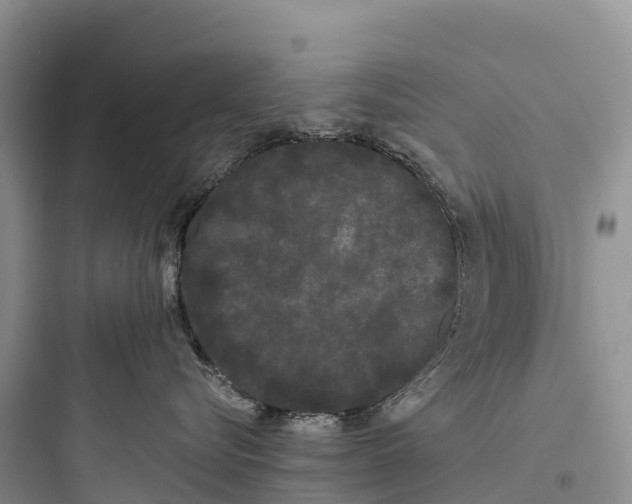 X0000097590576200803211639