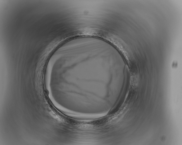 X0000097590577200803211638