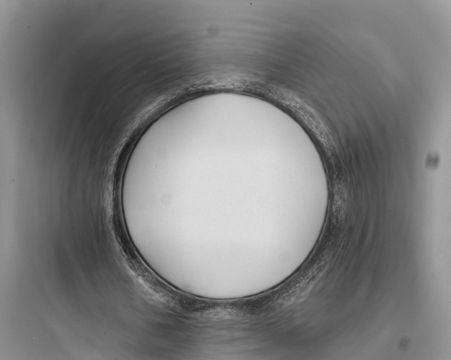 X0000097590578200803211638