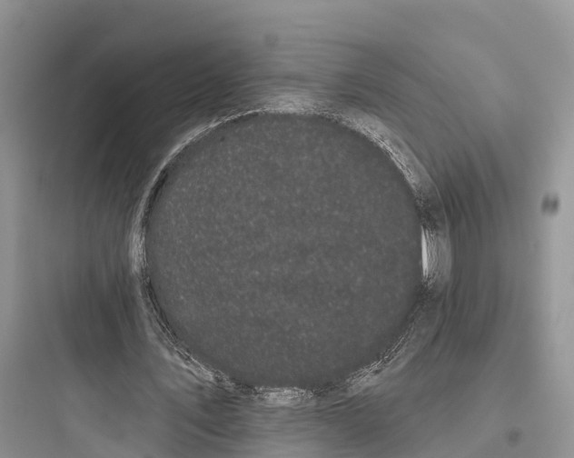 X0000097590579200803211638