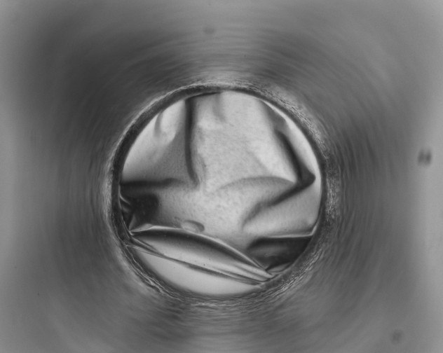 X0000097590580200803211638