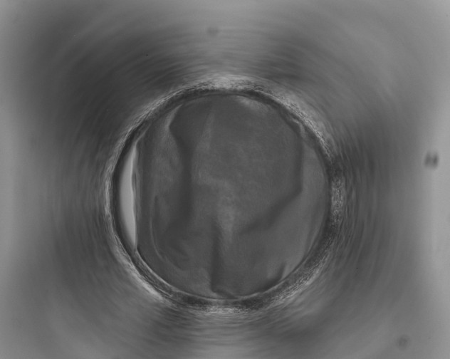 X0000097590581200803211638