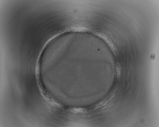 X0000097590583200803211638