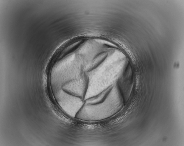 X0000097590584200803211638