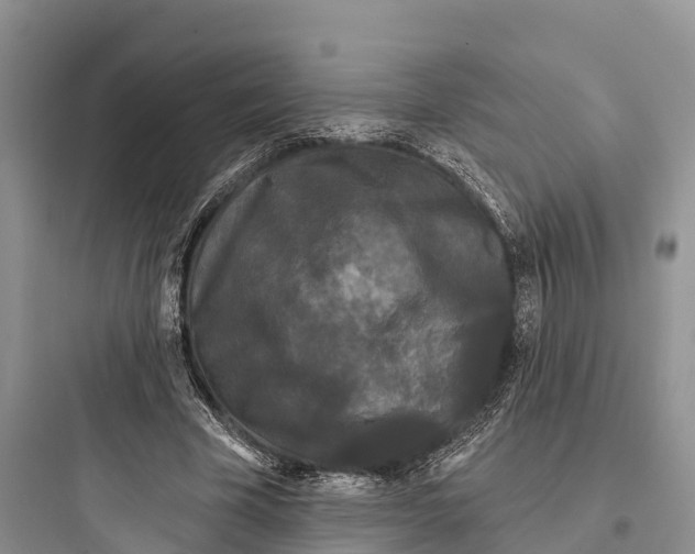 X0000097590585200803211638