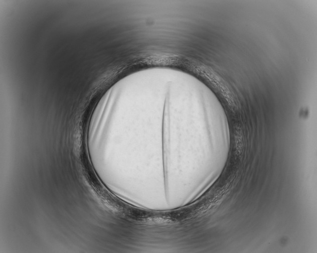 X0000097590586200803211638