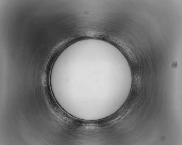 X0000097590587200803211638