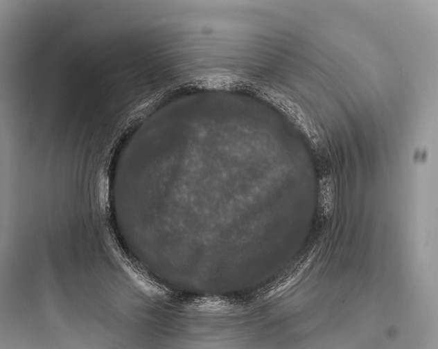 X0000097590589200803211638