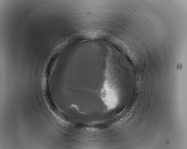 X0000097590590200803211638