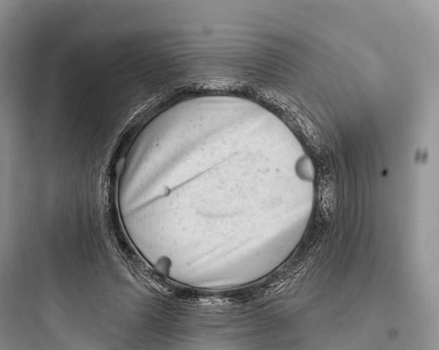 X0000097590591200803211638