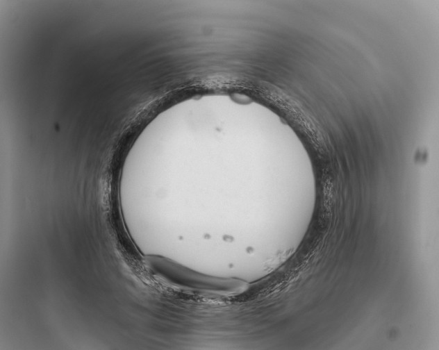 X0000097590592200803211638