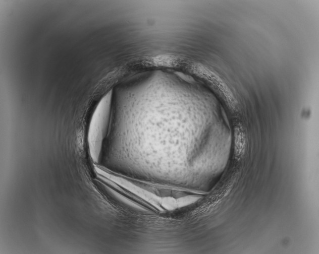 X0000097590593200803211638