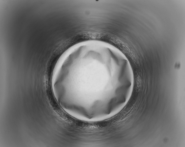 X0000097590594200803211638