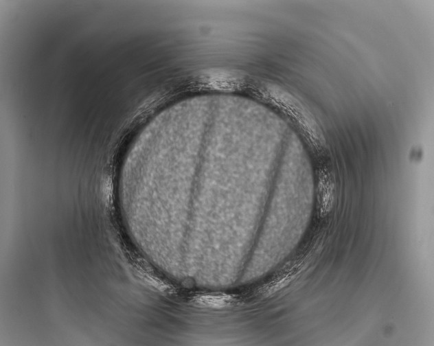 X0000097590595200803211638