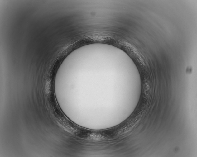 X0000097590596200803211638