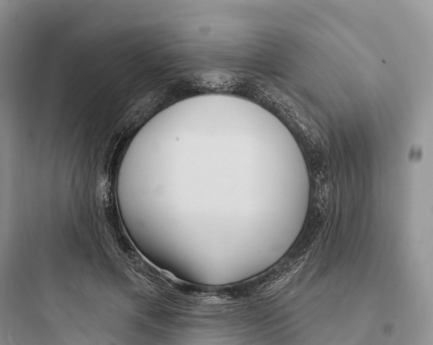 X0000097590597200803211638