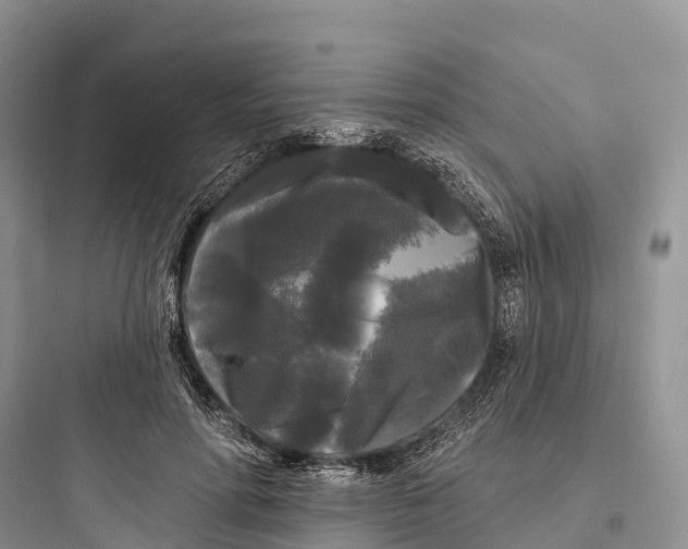 X0000097590598200803211638