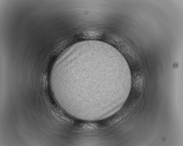 X0000097590599200803211638