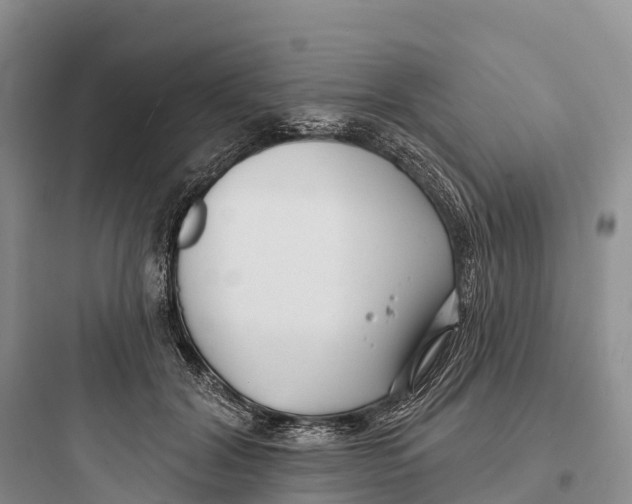 X0000097590604200803211638