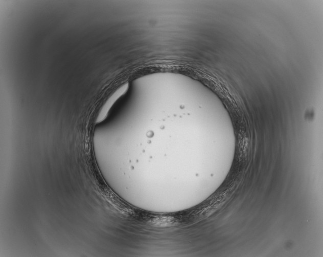 X0000097590609200803211638