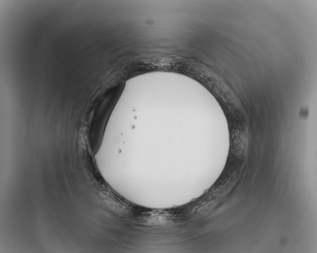 X0000097590612200803211638