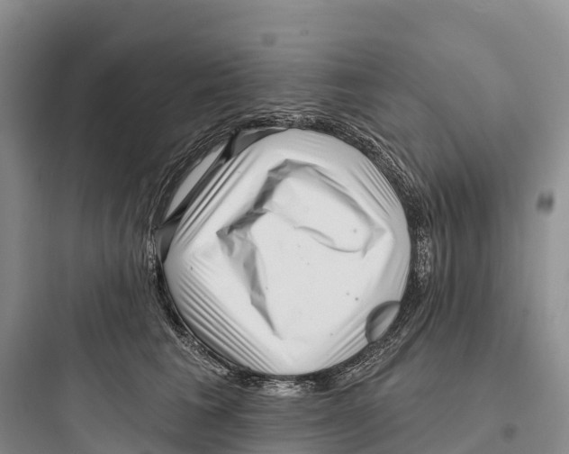 X0000097590613200803211638