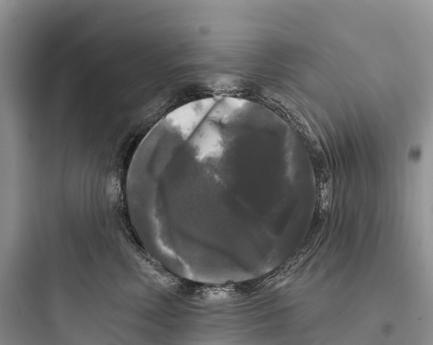 X0000097590618200803211638