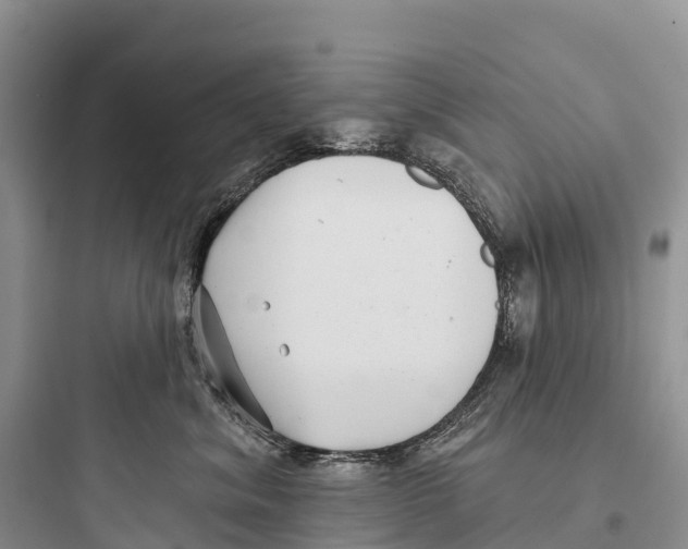 X0000097590620200803211638